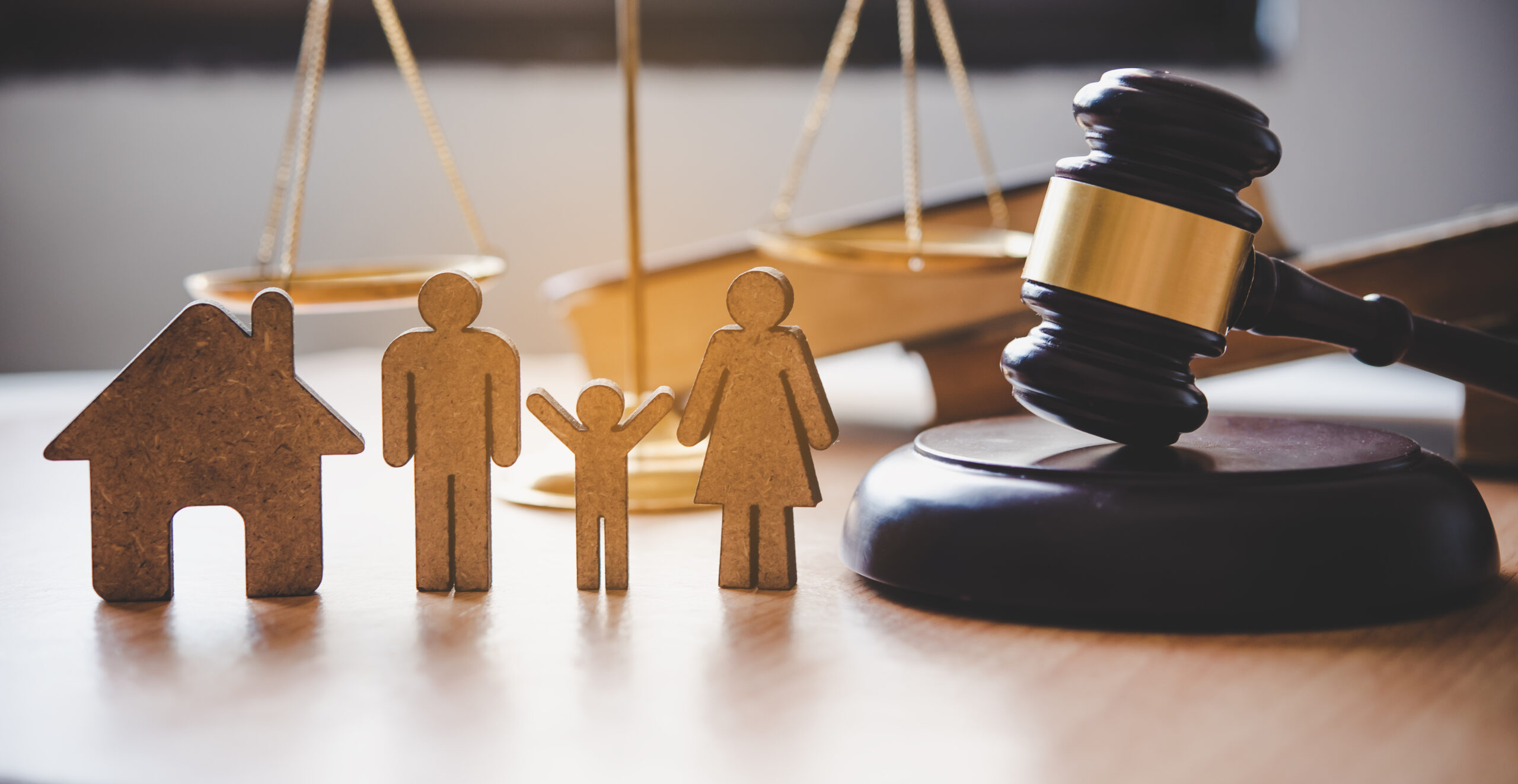 Family & Matrimonial Disputes